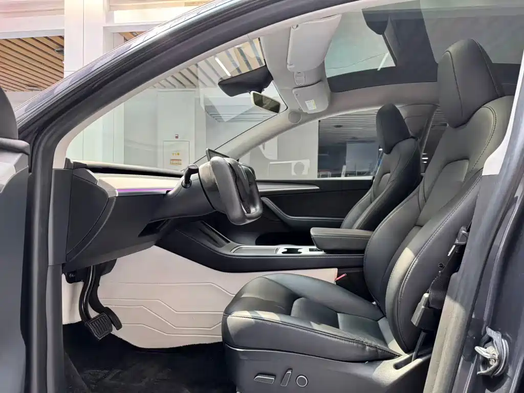 Tesla Model Y — миниатюра 10