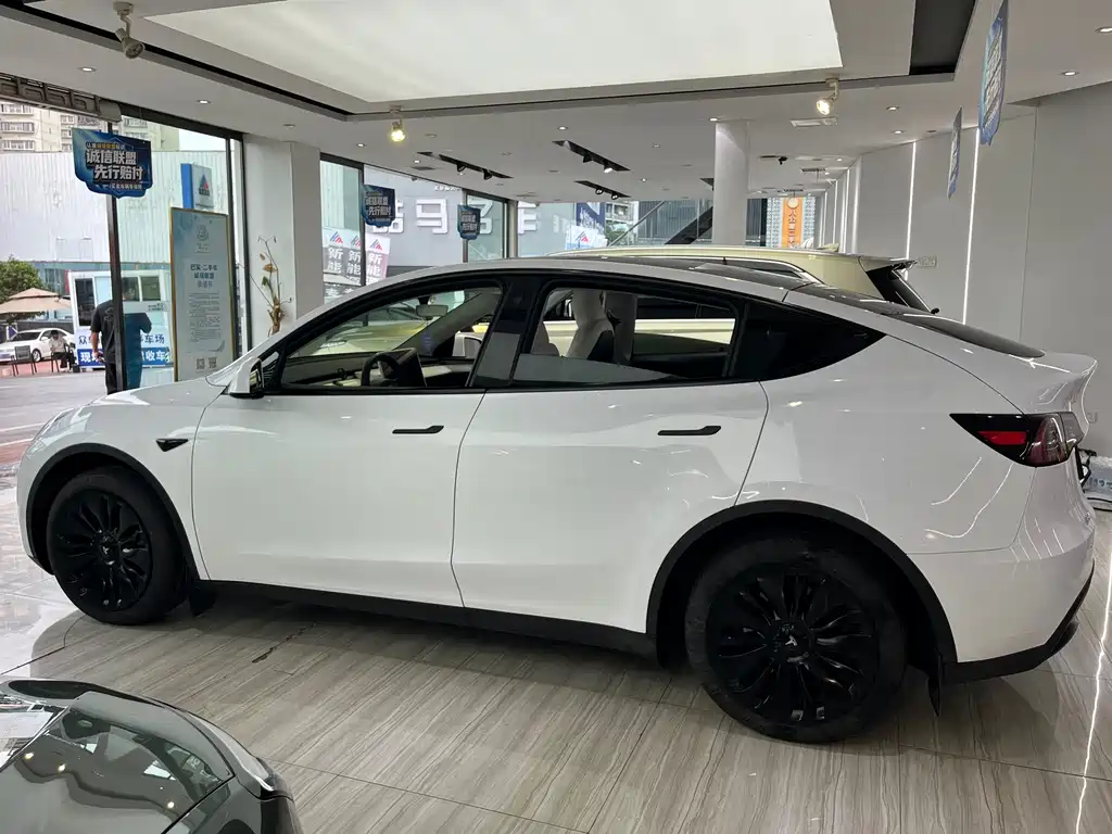 Tesla Model Y — миниатюра 5