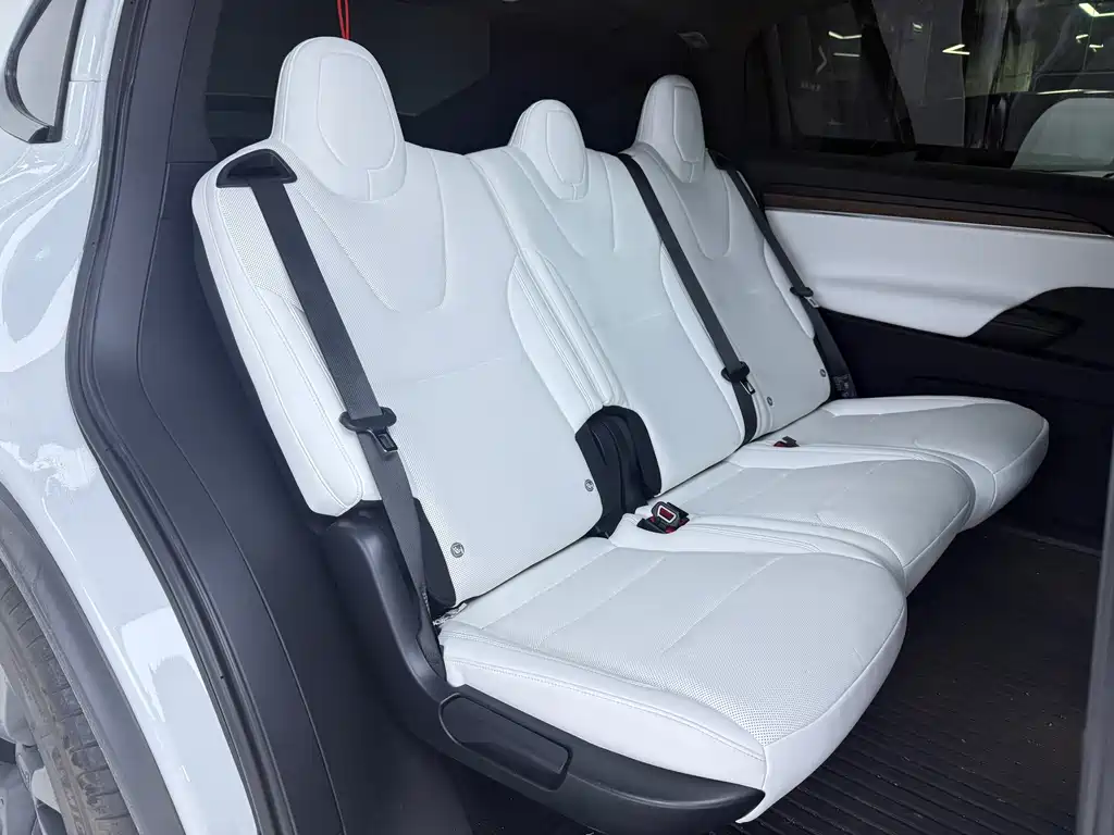 Tesla Model X — миниатюра 13