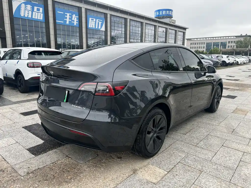 Tesla Model Y — миниатюра 3