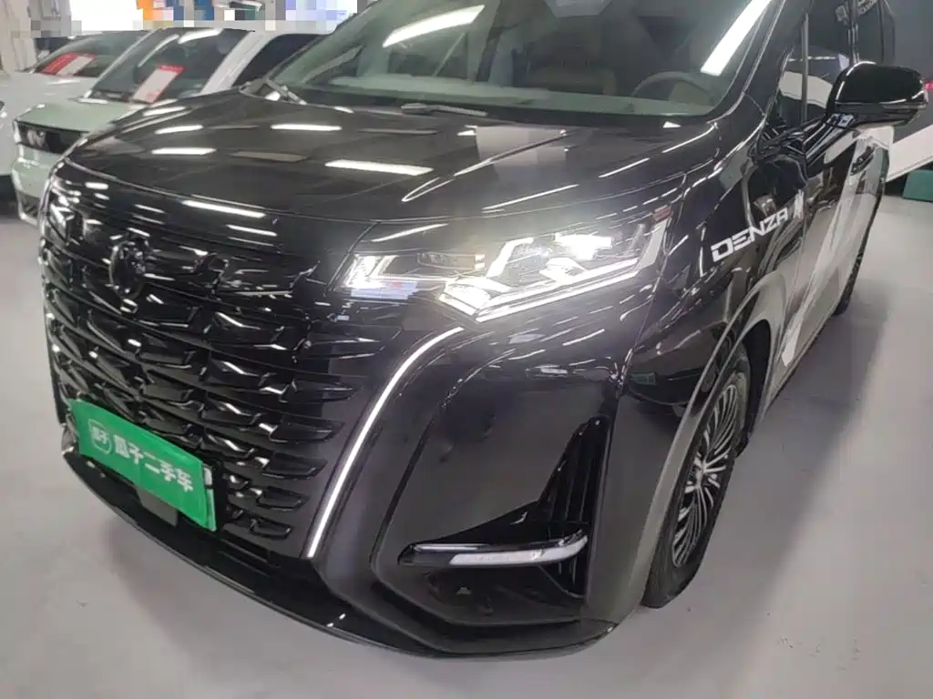 Denza Denza D9 — миниатюра 24