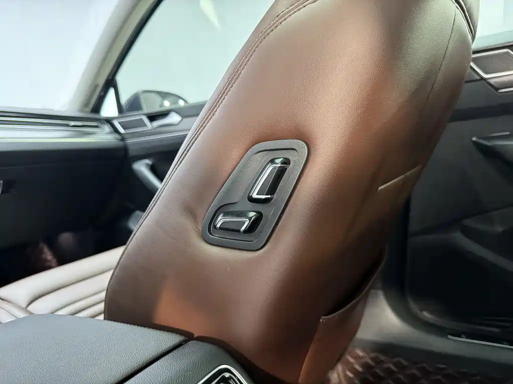 Volkswagen Magotan 2020 330TSI DSG Lead