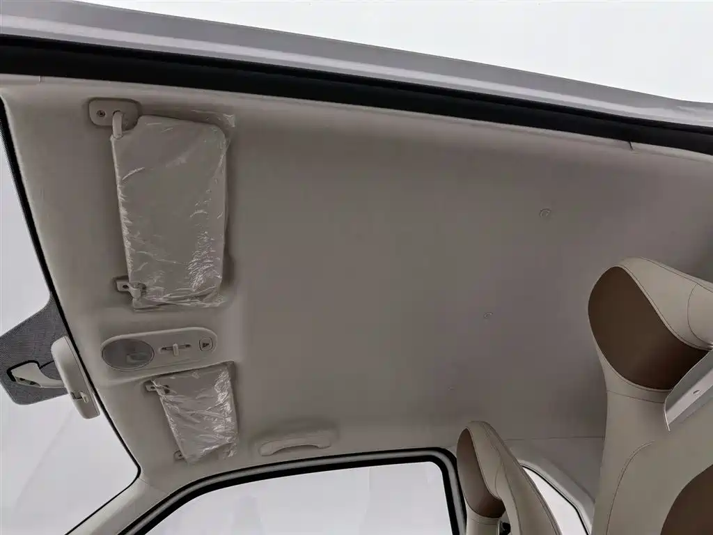 BESTUNE PENTIUM PONY