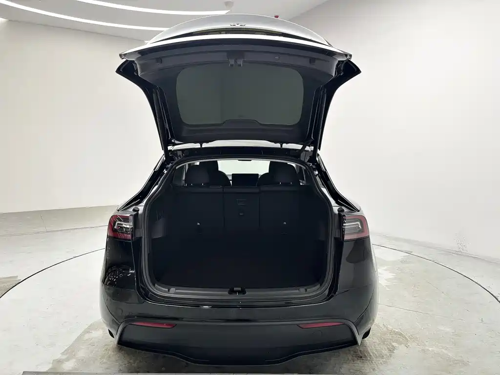 Tesla Model Y — миниатюра 14