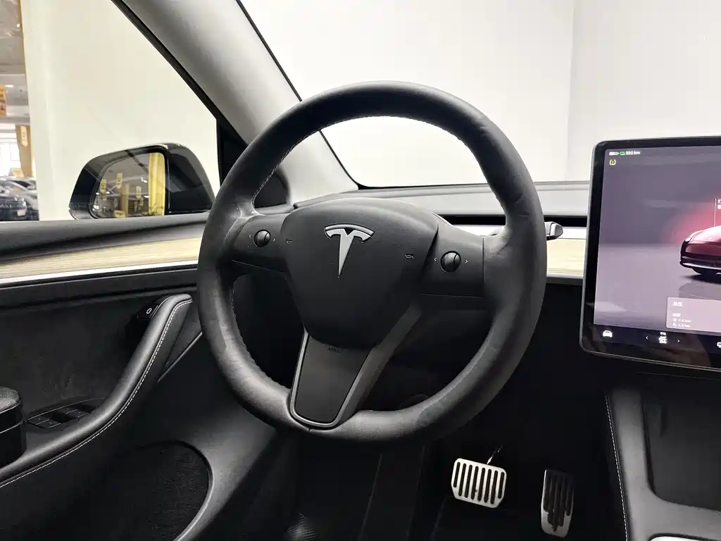 Tesla Model Y — миниатюра 12