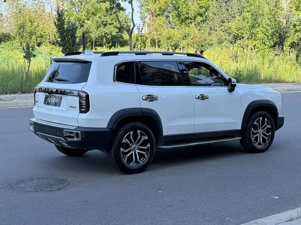 Haval Big Dog — миниатюра 6