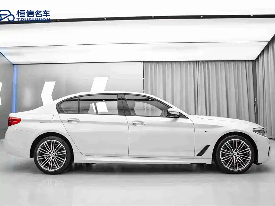 BMW 5 Series 5 2018 530Li Premium M Sport