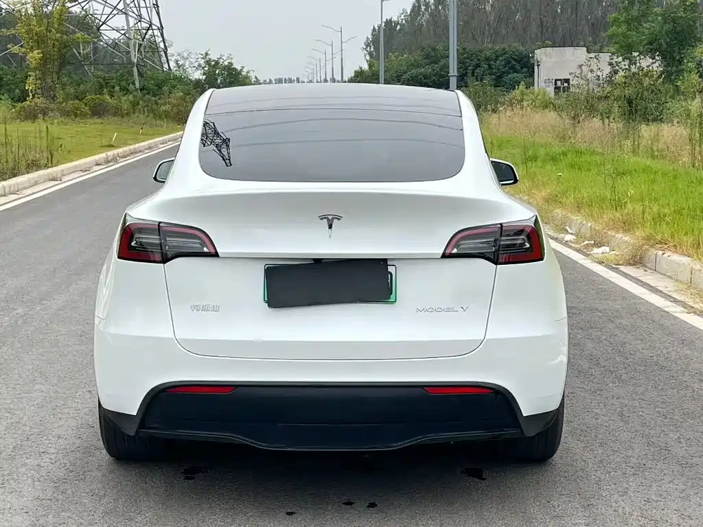Tesla Model Y — миниатюра 8