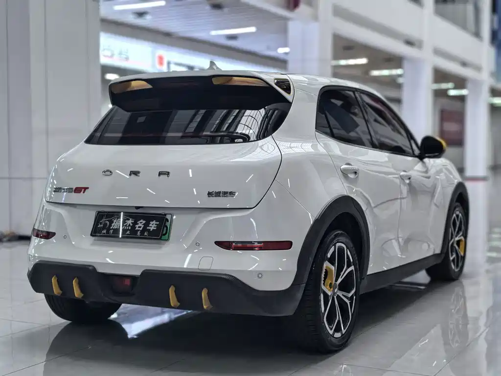 Ora Ora Good Cat GT — миниатюра 14