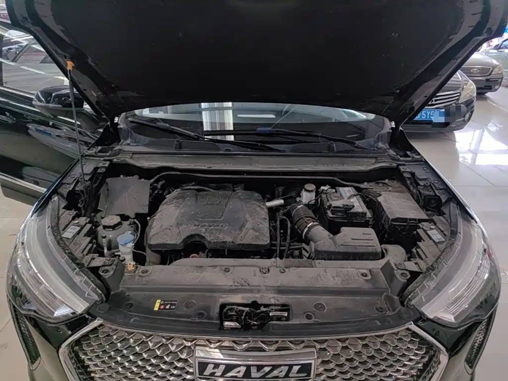 Haval Chulian — миниатюра 20