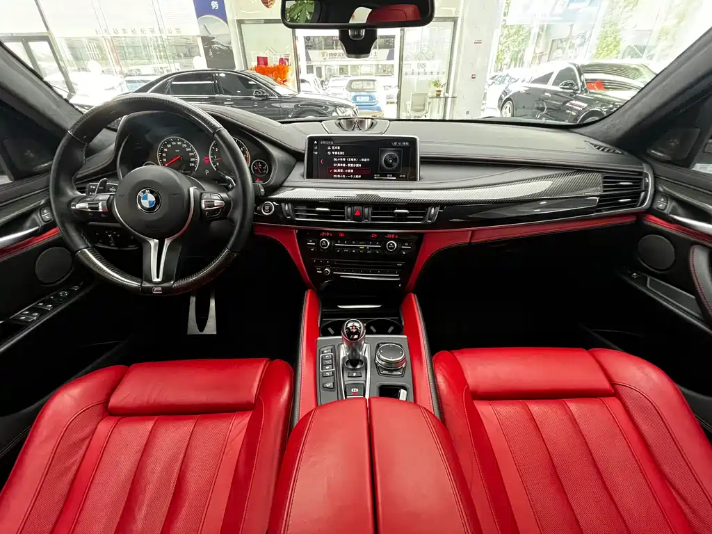 BMW X6 M X6 M, фото 24
