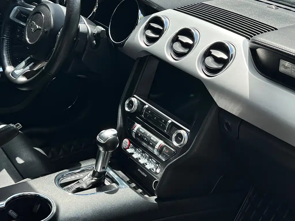 Ford Mustang — миниатюра 12