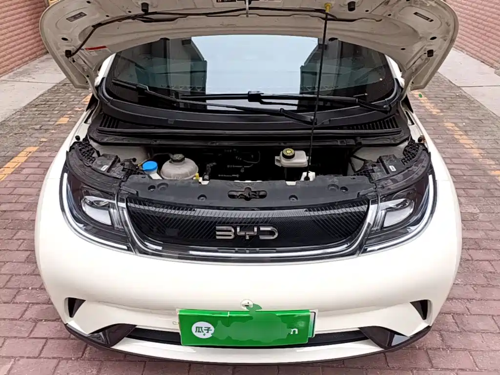 BYD Dolphin — миниатюра 20