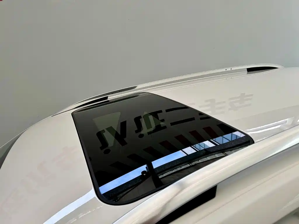 Volkswagen Gran Lavida — миниатюра 15