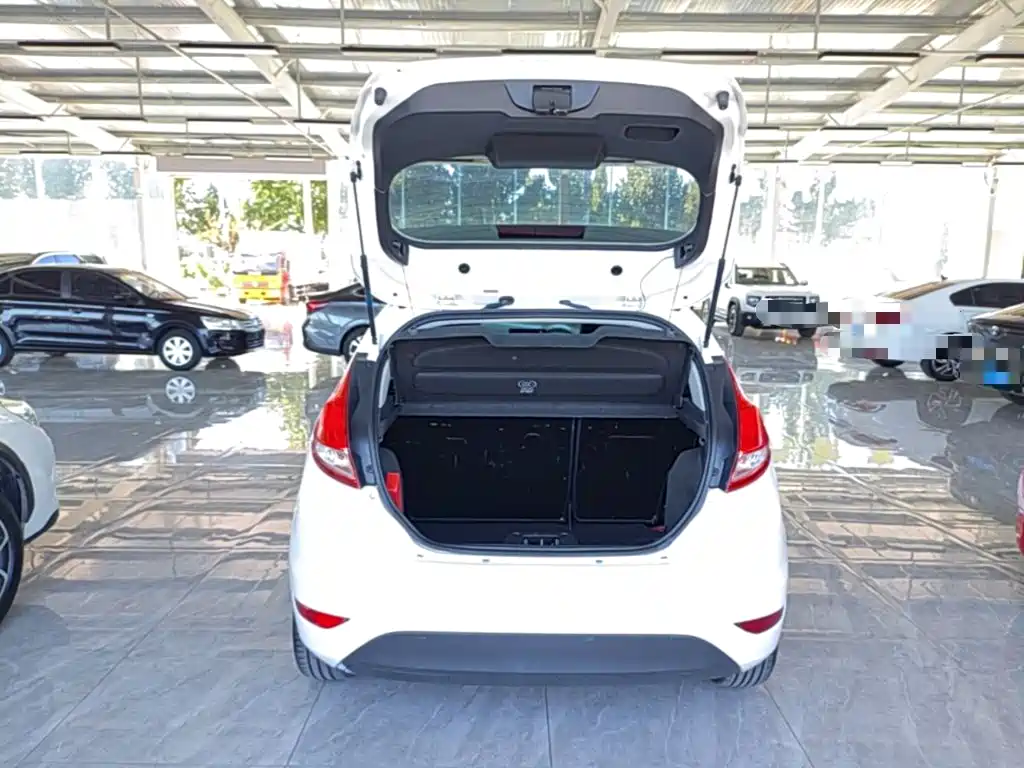 Ford Fiesta — миниатюра 19