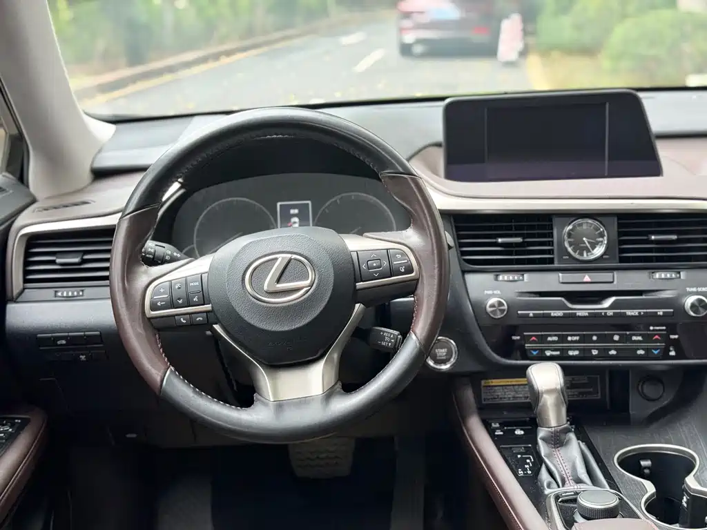 Lexus RX 2020 300 Elegant VI