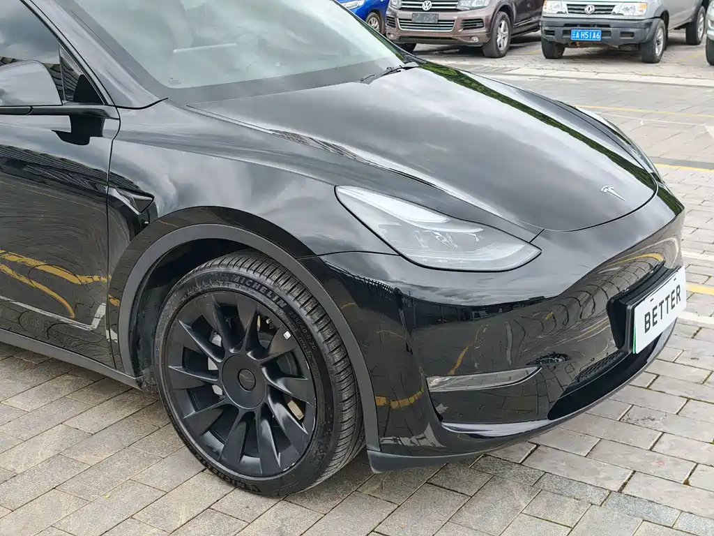 Tesla Model Y — миниатюра 6