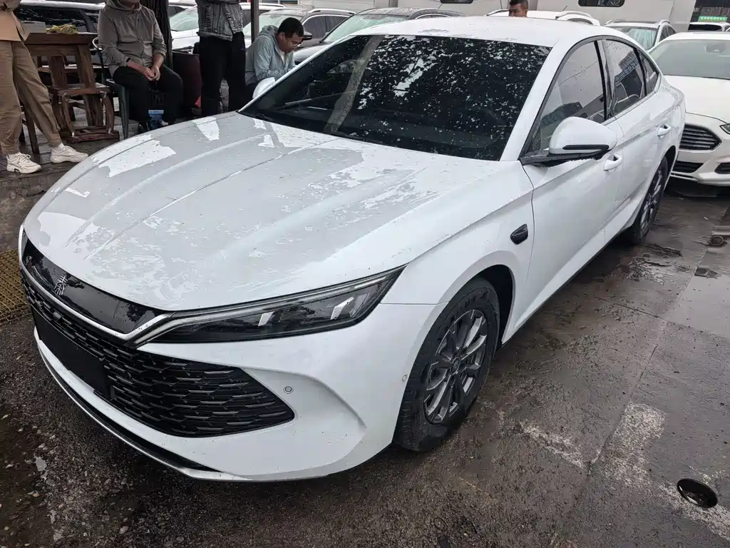 Byd Qin L 2025