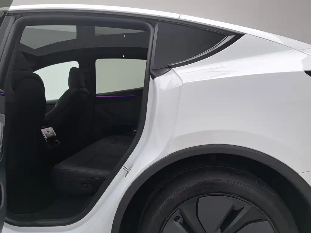Tesla Model Y — миниатюра 15