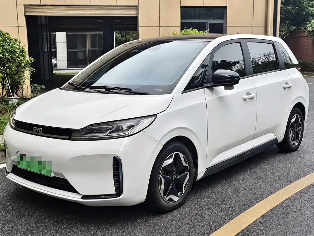 BYD D1