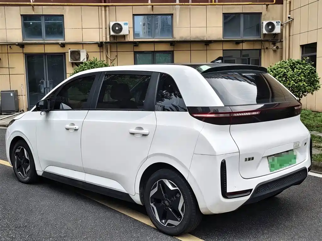 BYD D1 — миниатюра 4