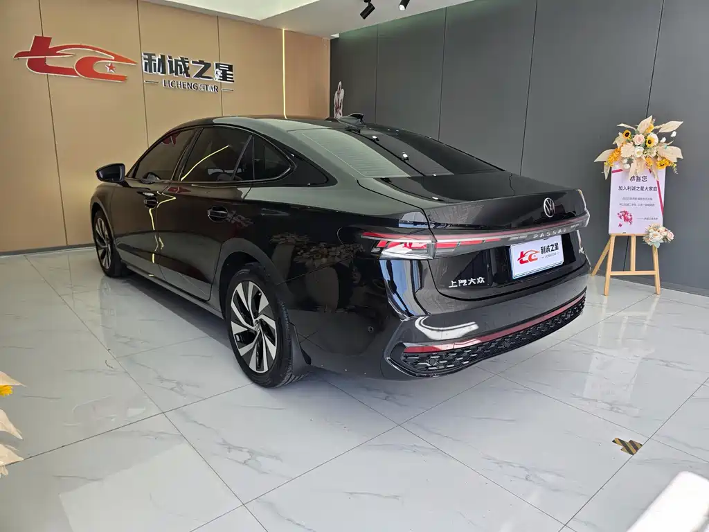 Volkswagen Passat — миниатюра 4