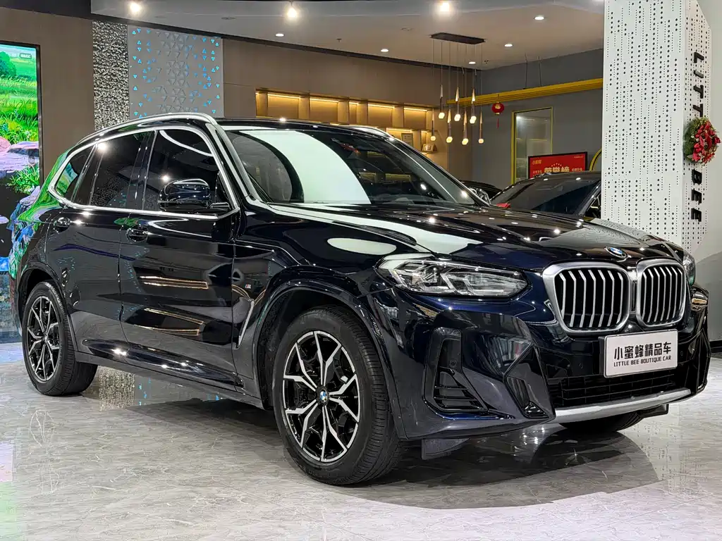 BMW X3 — миниатюра 3