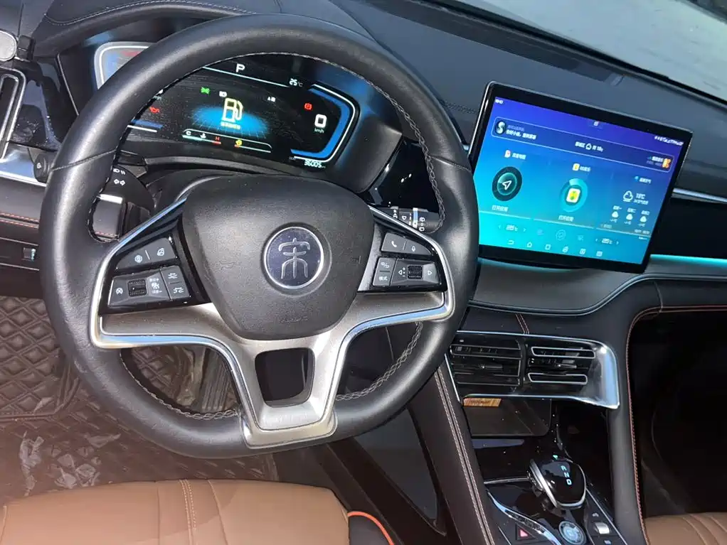 BYD PLUS — миниатюра 4