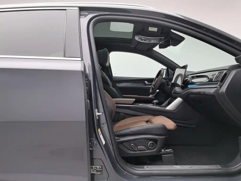 BYD Tang New Energy — миниатюра 23