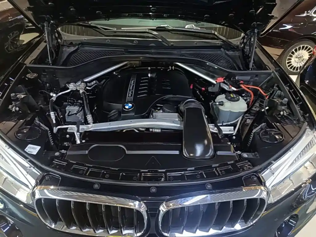 BMW X6 — миниатюра 20