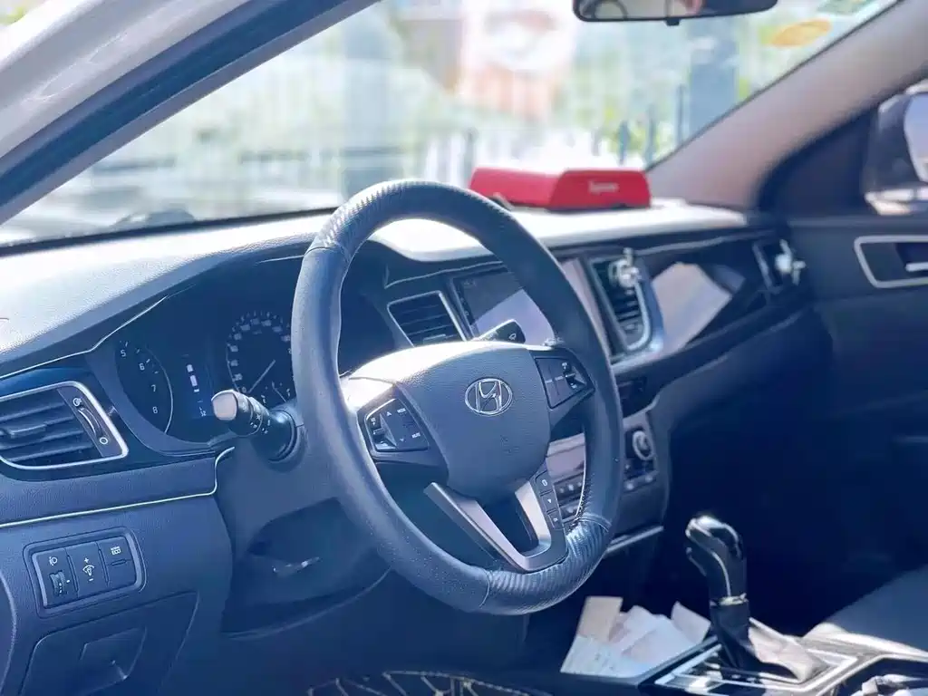 HYUNDAI NAME PICTURE