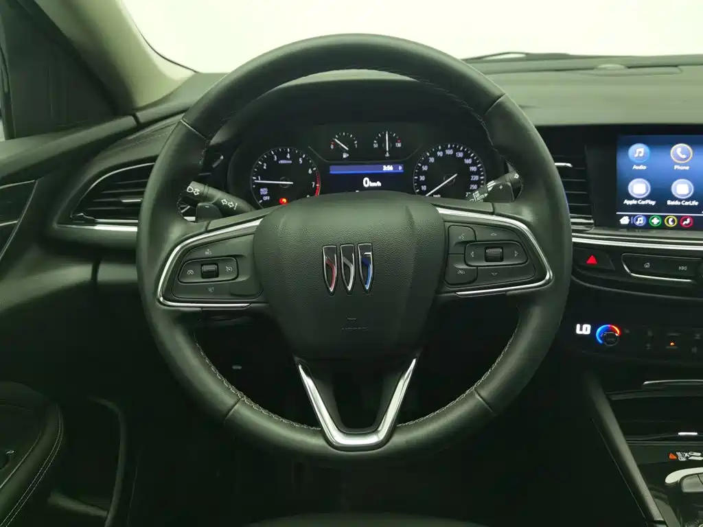 Buick Regal — миниатюра 11