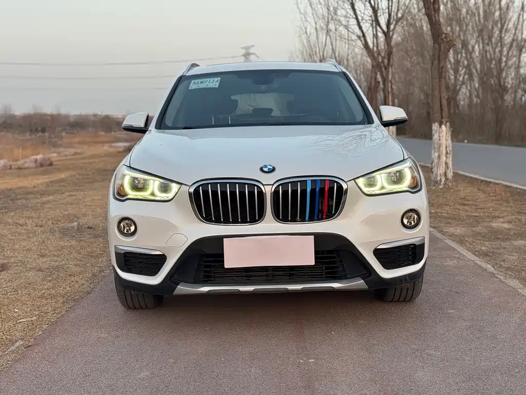 BMW X1 — миниатюра 2