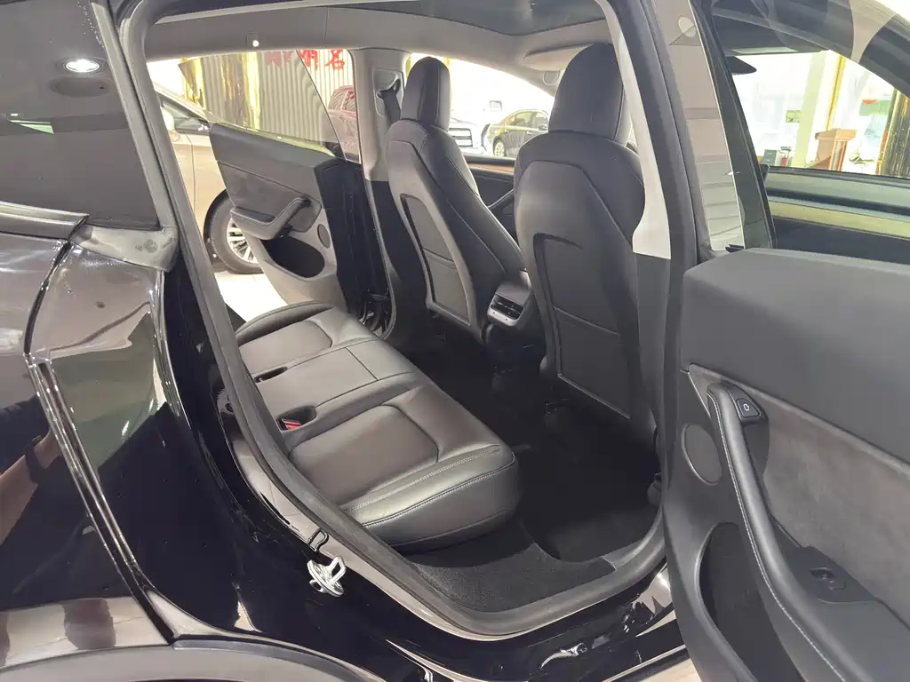 Tesla Model Y — миниатюра 10
