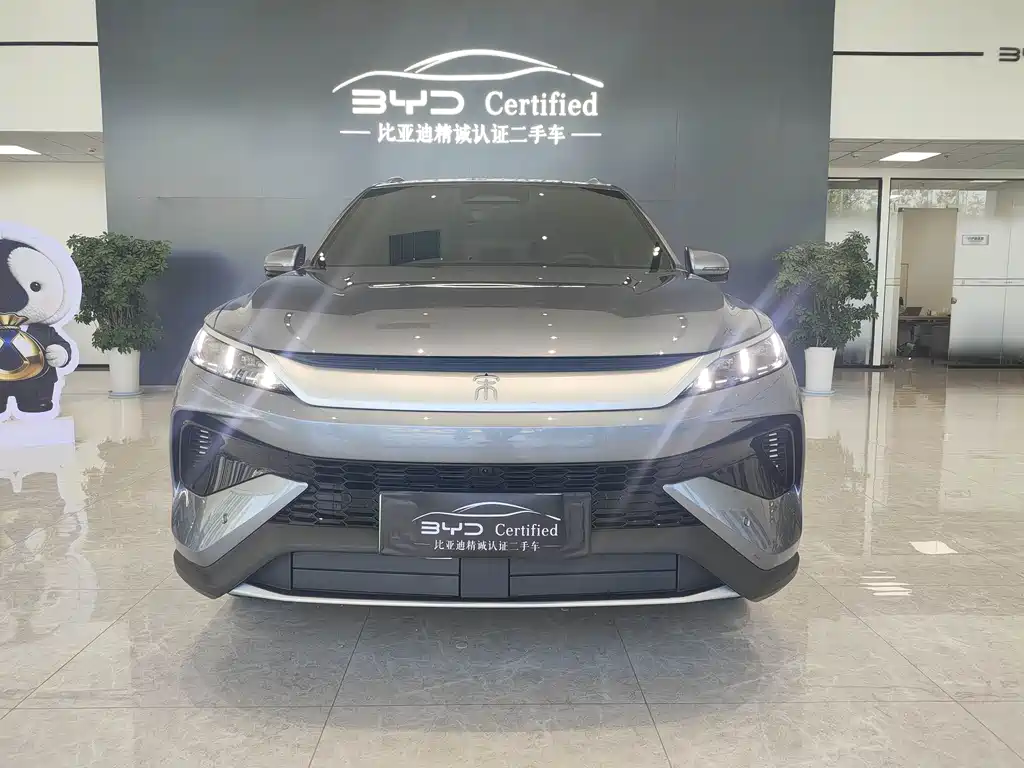 BYD Pro New Energy — миниатюра 2