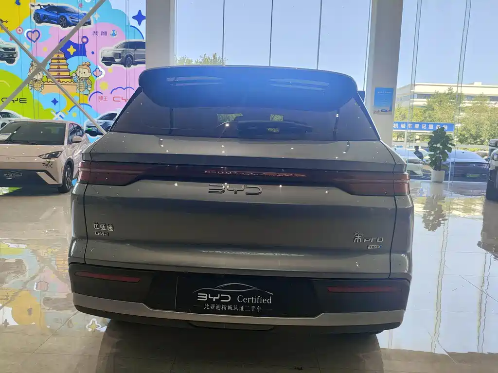 BYD Pro New Energy — миниатюра 6