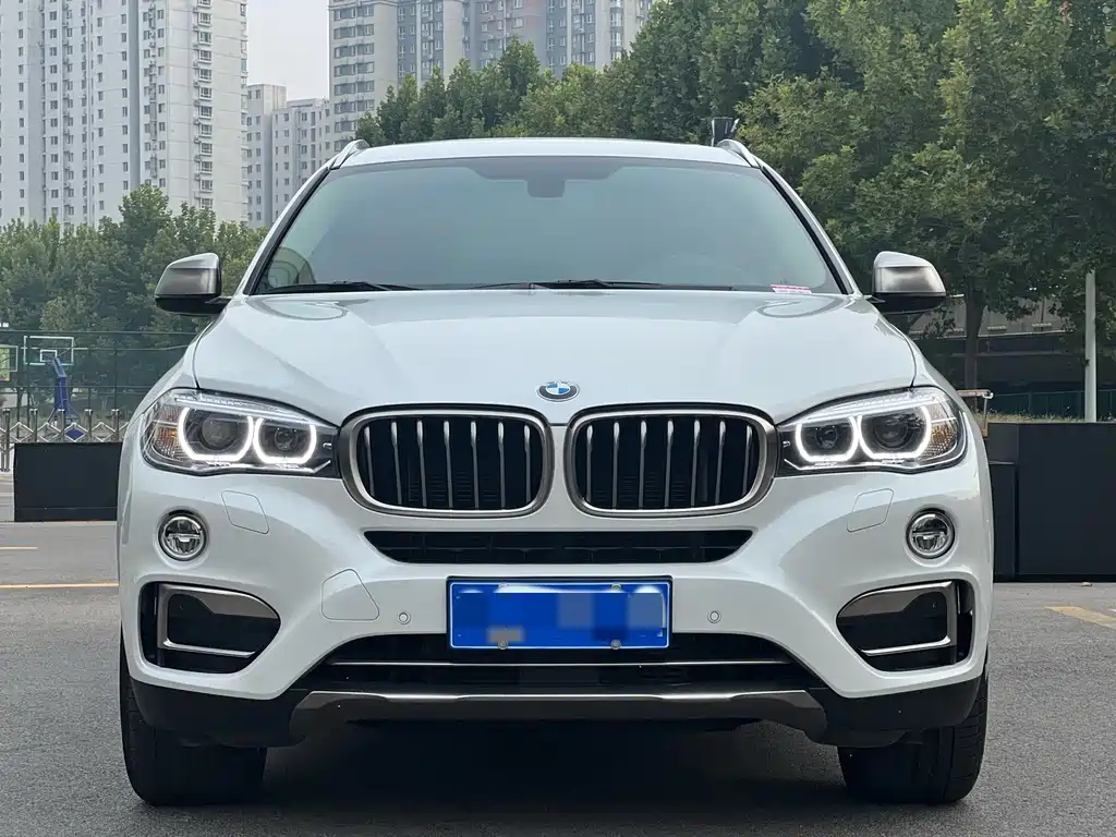 BMW X6 — миниатюра 2