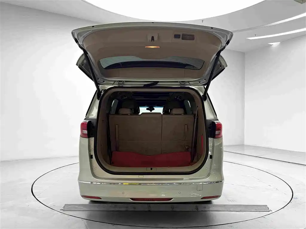 Buick GL8 — миниатюра 15