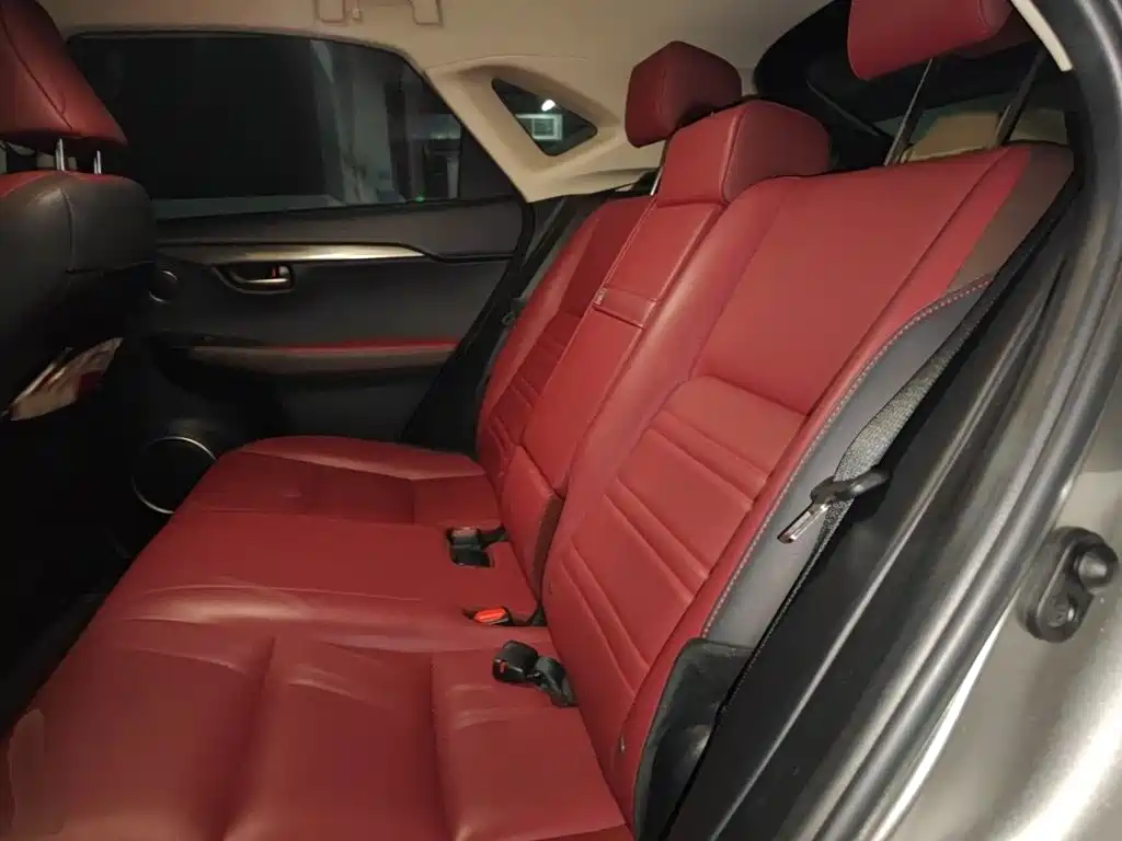 Lexus NX — миниатюра 15