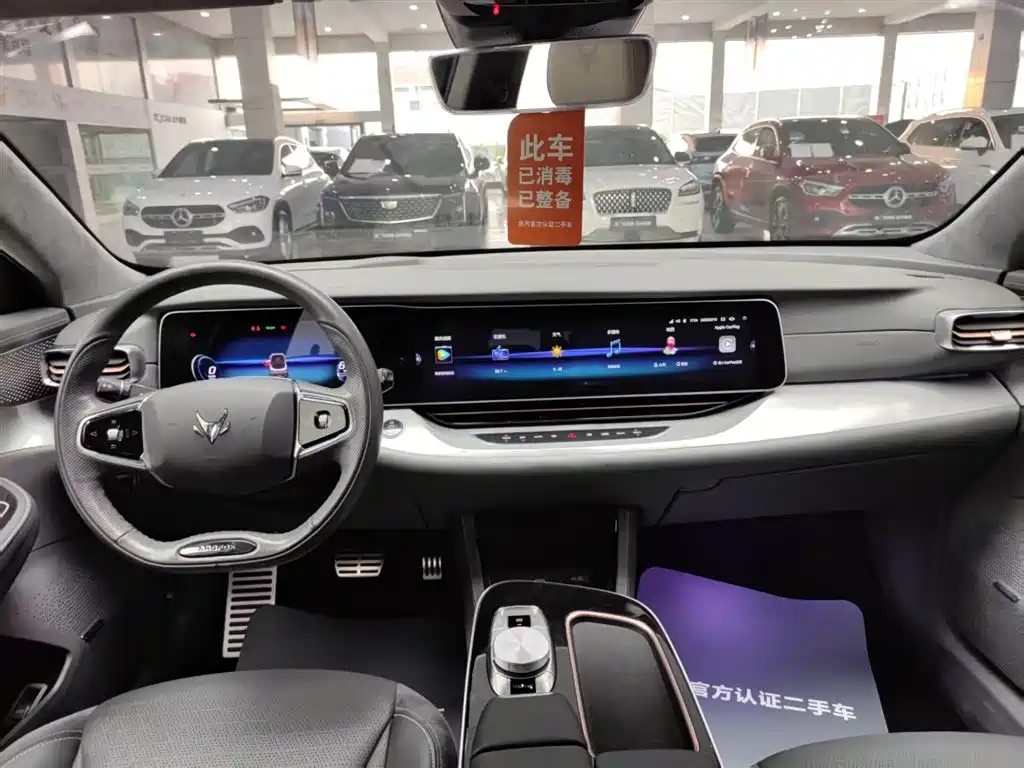 ARCFOX EXTREME FOX POLAR FOX ALPHA S