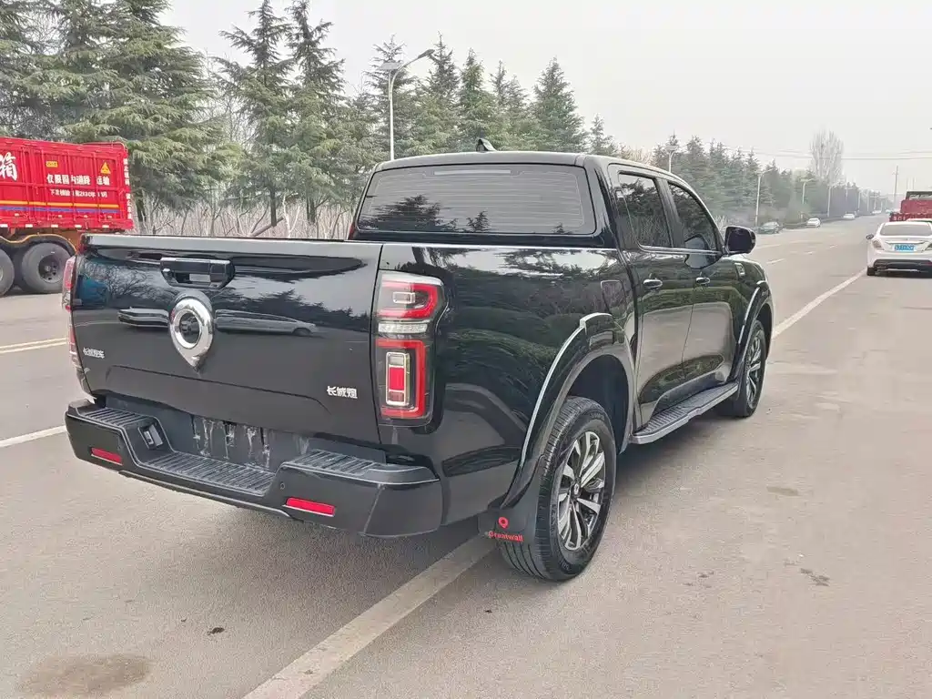 Great Wall Pao — миниатюра 8