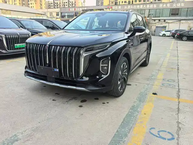2024 Hongqi HS7