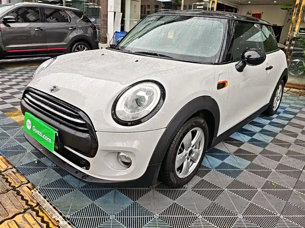Mini Mini 2015