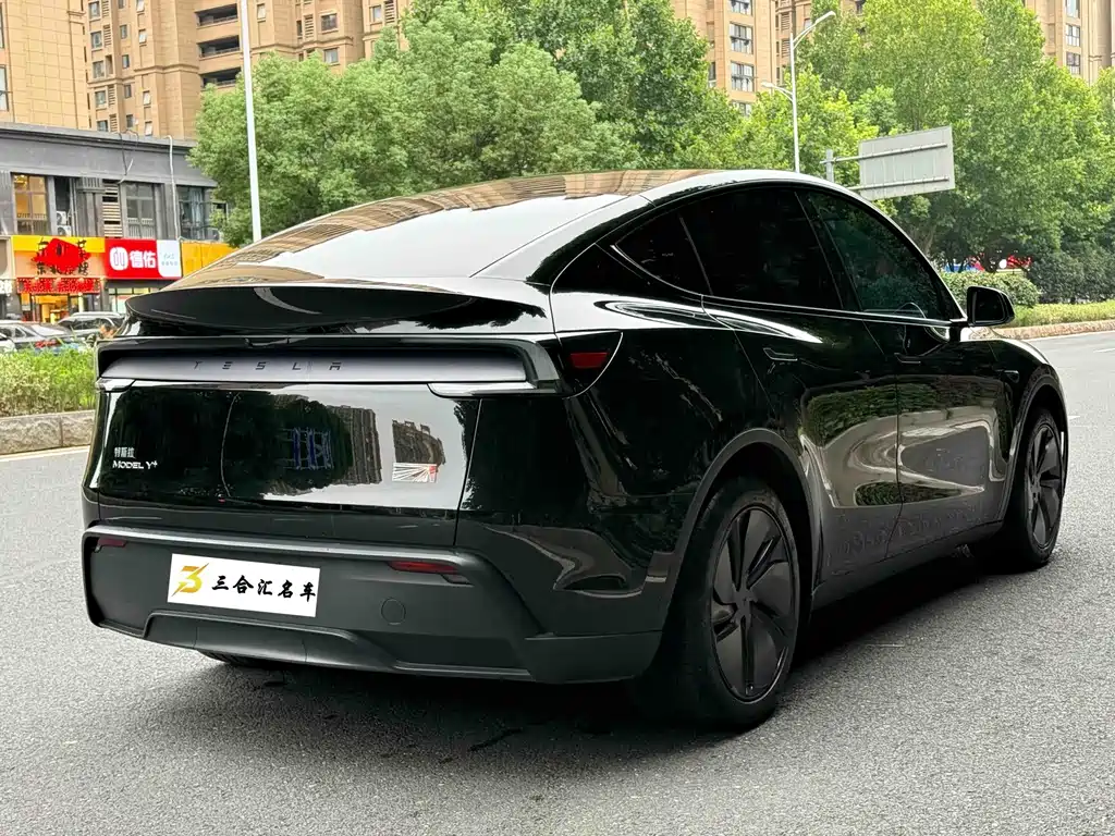 Tesla Model Y — миниатюра 10