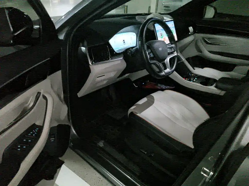 BYD PLUS New Energy — миниатюра 12