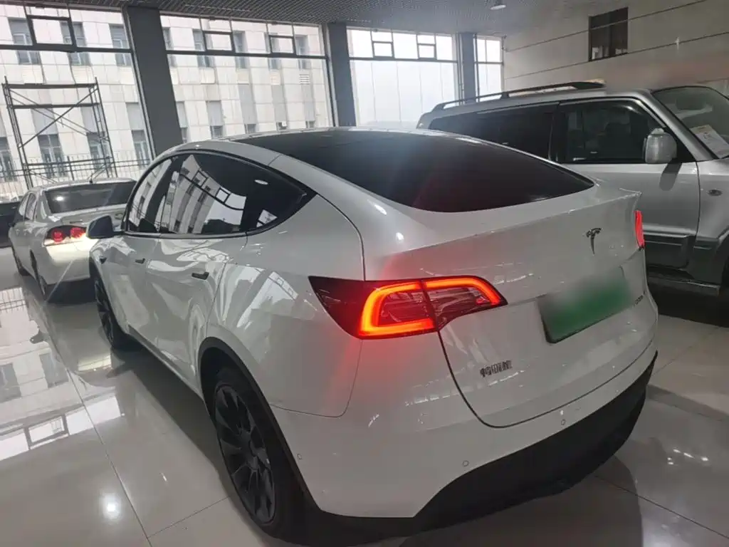 Tesla Model Y — миниатюра 5