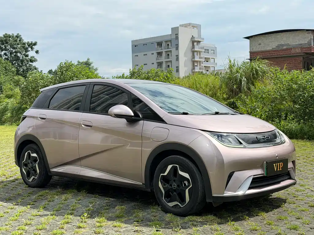 BYD Dolphin — миниатюра 3