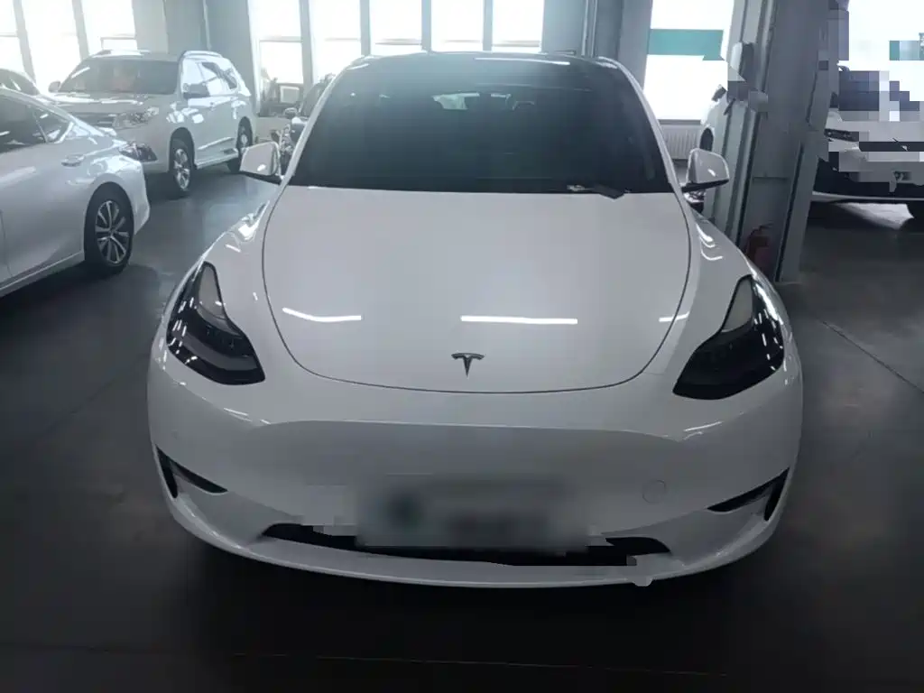 Tesla Model Y — миниатюра 3