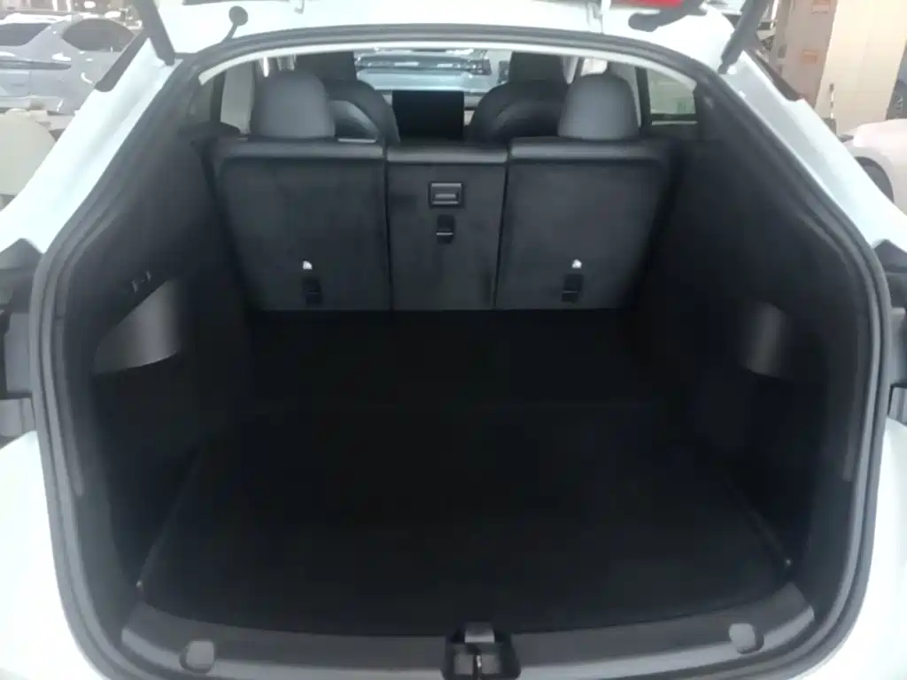 Tesla Model Y — миниатюра 19