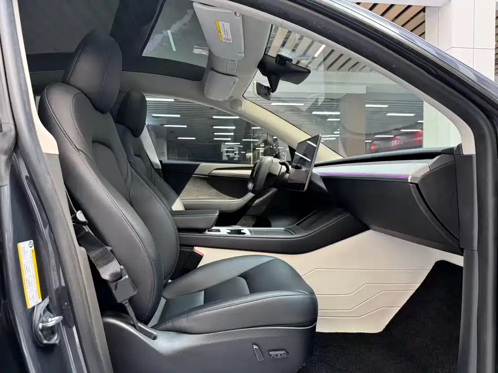 Tesla Model Y — миниатюра 16